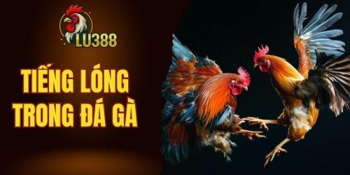 Tiếng lóng trong đá gà