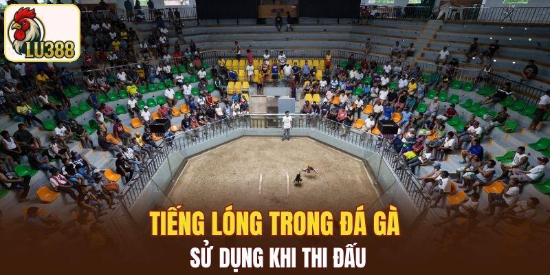 Tiếng lóng trong đá gà sử dụng khi thi đấu