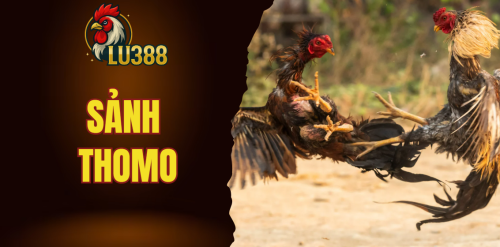 sảnh thomo hấp dẫn