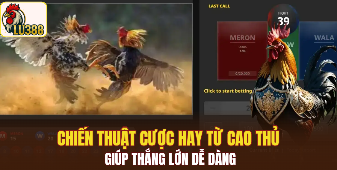 Chiến thuật cược hay từ cao thủ giúp thắng lớn dễ dàng