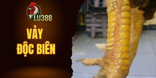 vảy độc biên