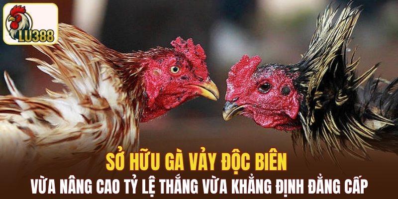Vảy độc biên như một chỉ số thành công